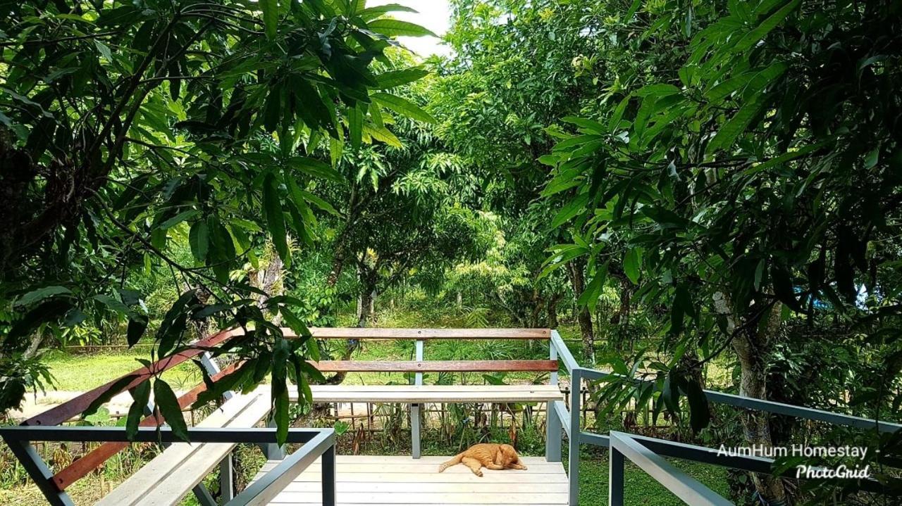 Aum Hum Homestay Fang Exterior foto